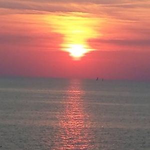 Meet your Posher, Patty